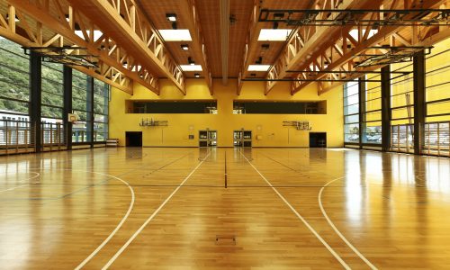 Painting services for gyms, high ceilings, and other difficult to reach areas