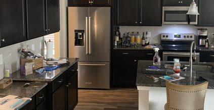 Kitchen Cabinet Painting Project