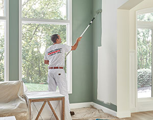 Exterior and Interior House Painting Professionals