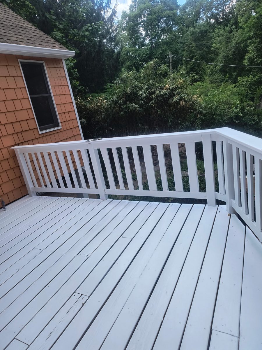 deck painting Preview Image 5