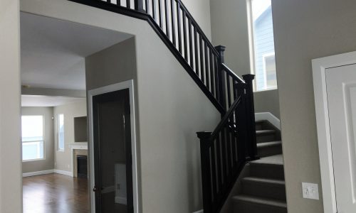 Interior Painters in Woodland Park, CO