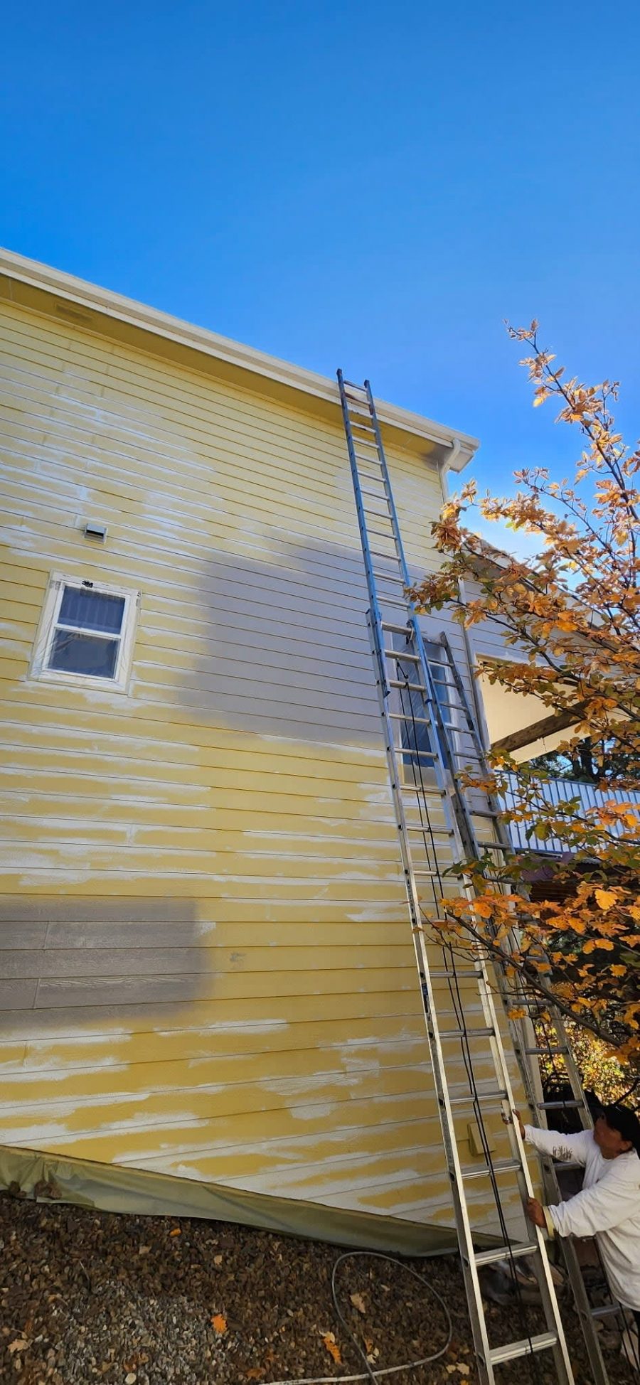 ladder against house with patched siding Preview Image 1