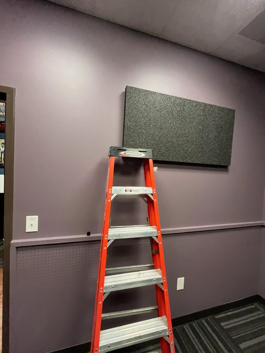 lavendar painted room with sound dampening panels Preview Image 3