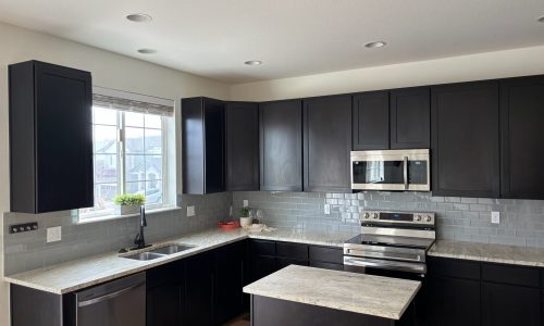 Sleek Black Cabinets