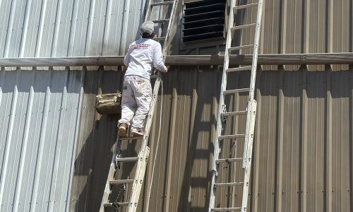 Adding Color Over Primer