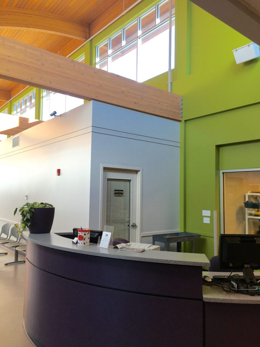 Shelter Preview Image 3