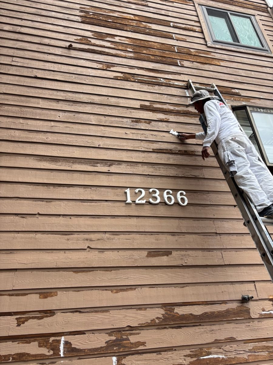 painter on ladder against townhouse Preview Image 9