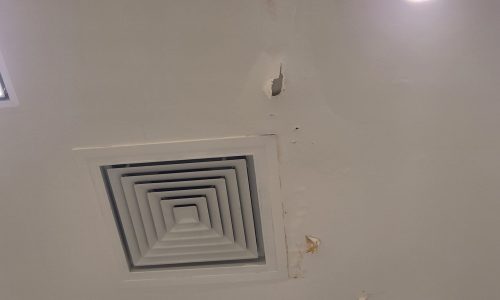 Ceiling Issues