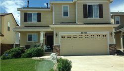 Falcon’s Nest House Painting