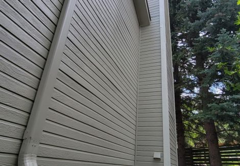painted siding of house