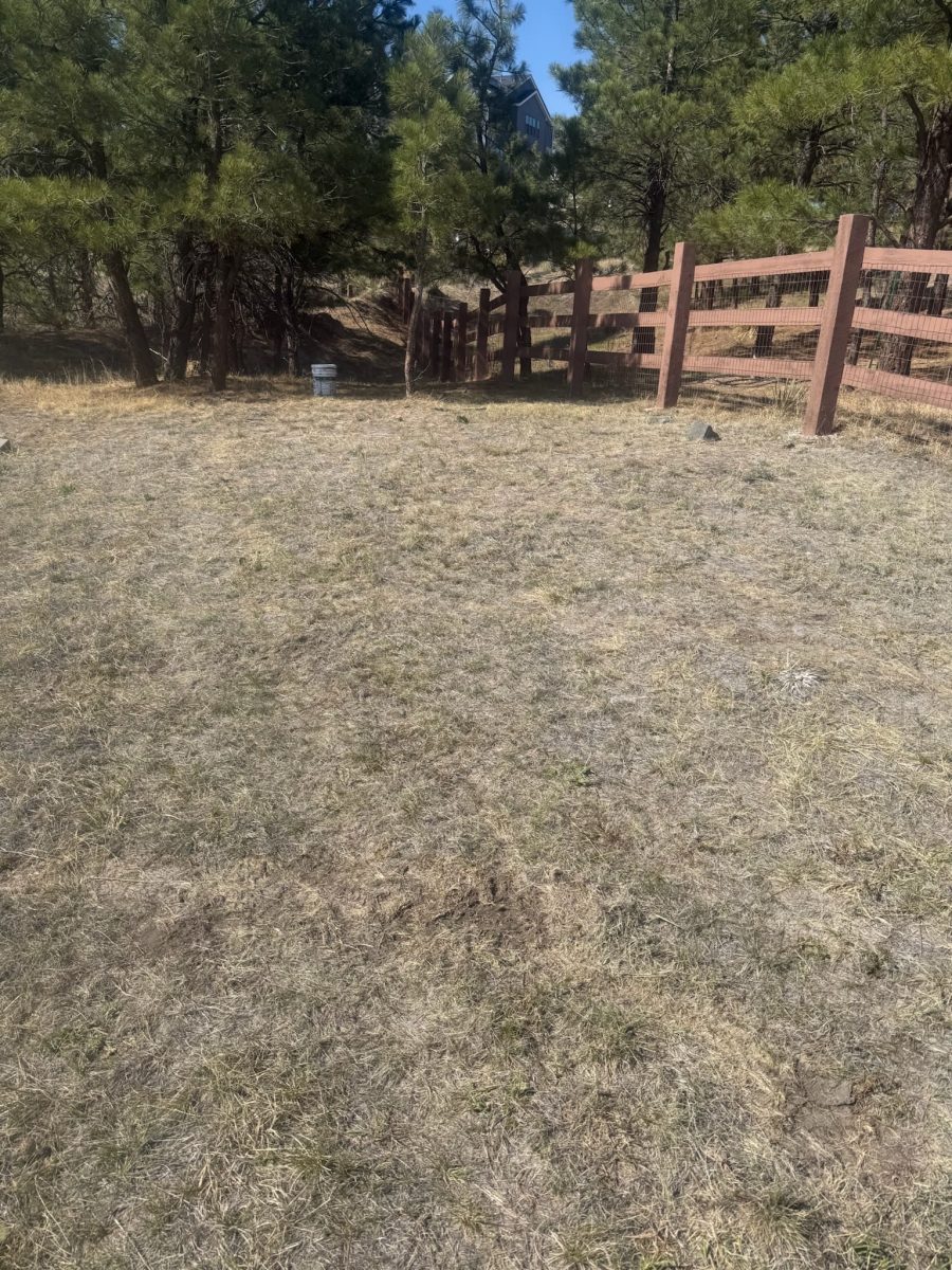 stained split rail fence surrounding CO property Preview Image 4