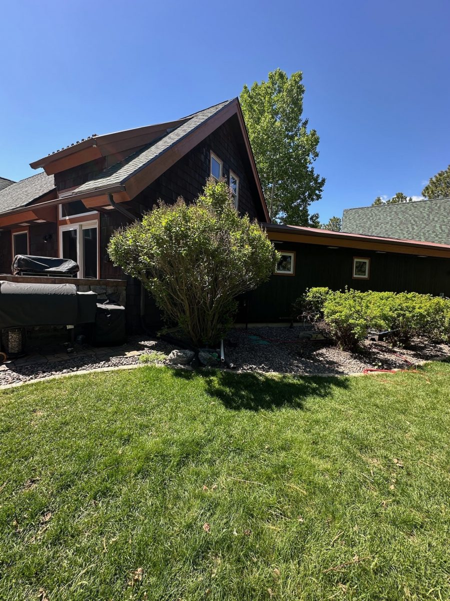 stained wood Preview Image 1