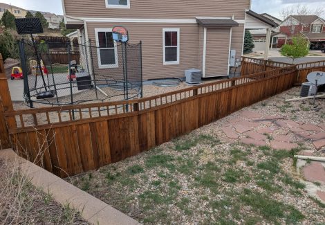 Beautiful Fence Staining Project in CO Springs