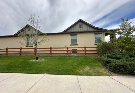 backyard stucco painting