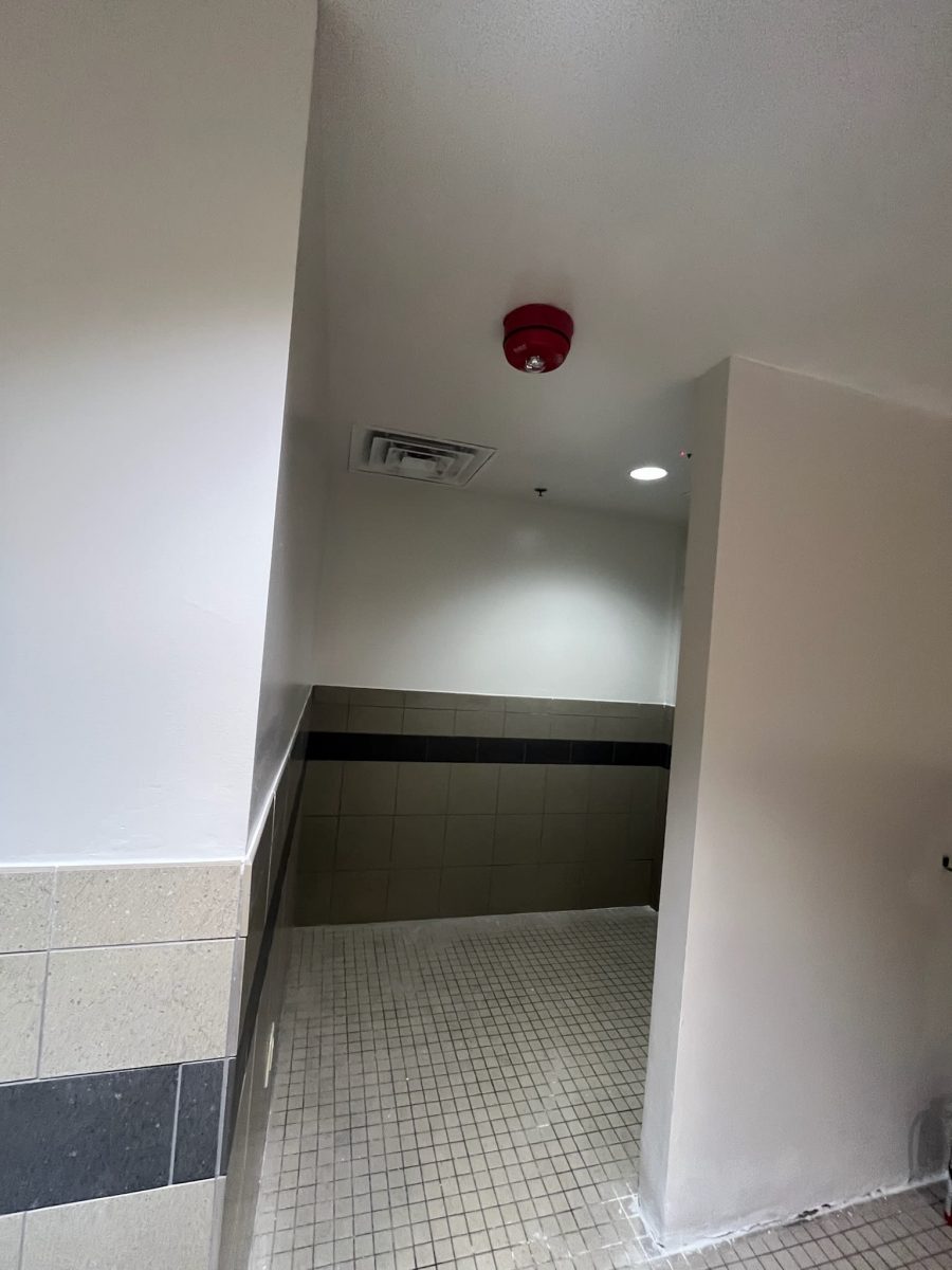 painted gym locker room Preview Image 10