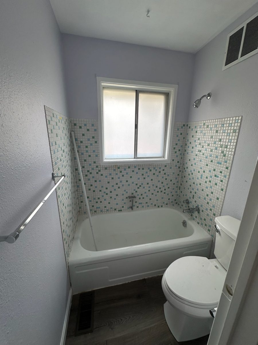 bathroom paint project