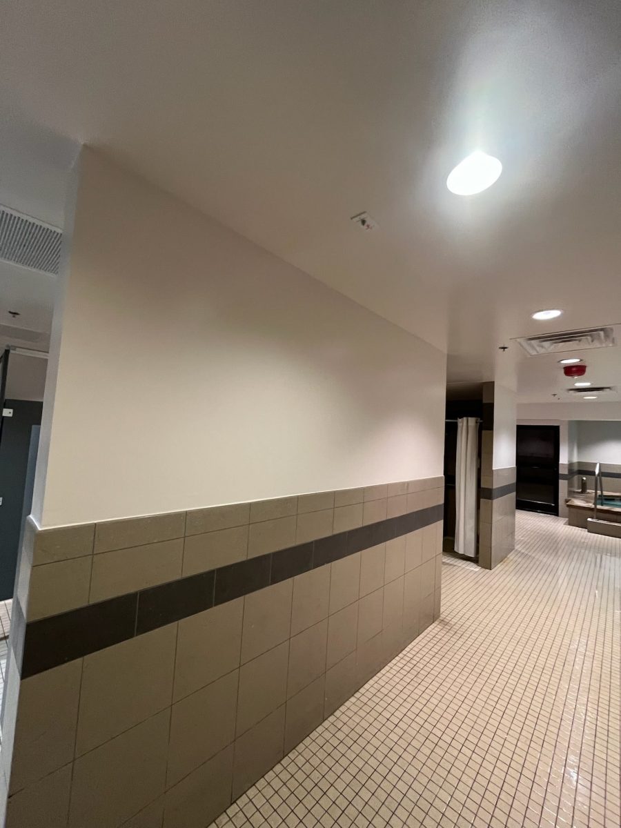 painted gym locker room Preview Image 8