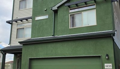 Bold Green Stucco Exterior