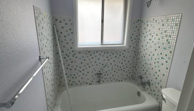 bathroom paint project