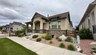 curb view of painting