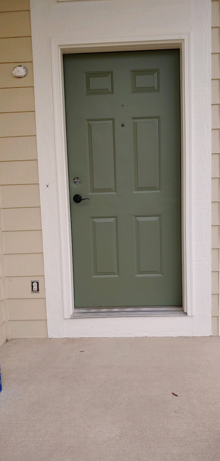 Front door painting Preview Image 4