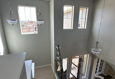 Black Forest Interior Repaint