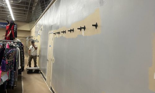 Professional Updates