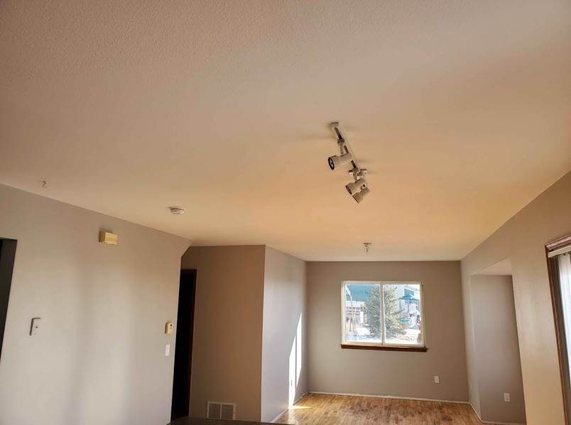 Ceiling & Dry Wall Repair