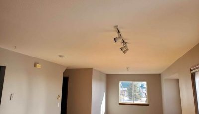 Ceiling & Dry Wall Repair