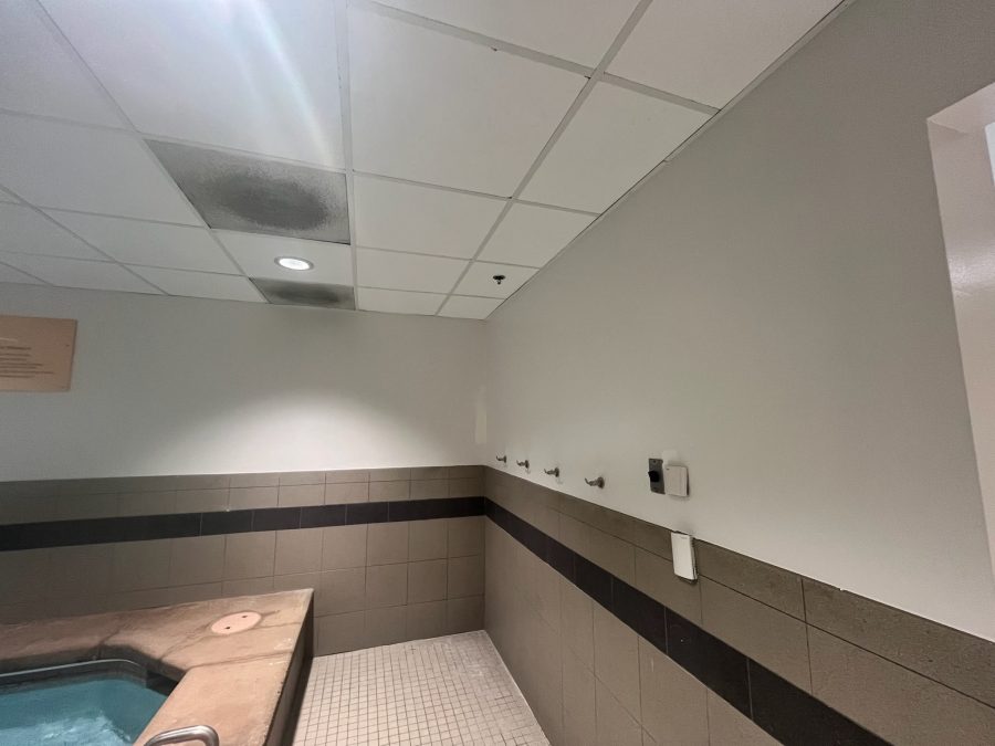 painted gym locker room Preview Image 9