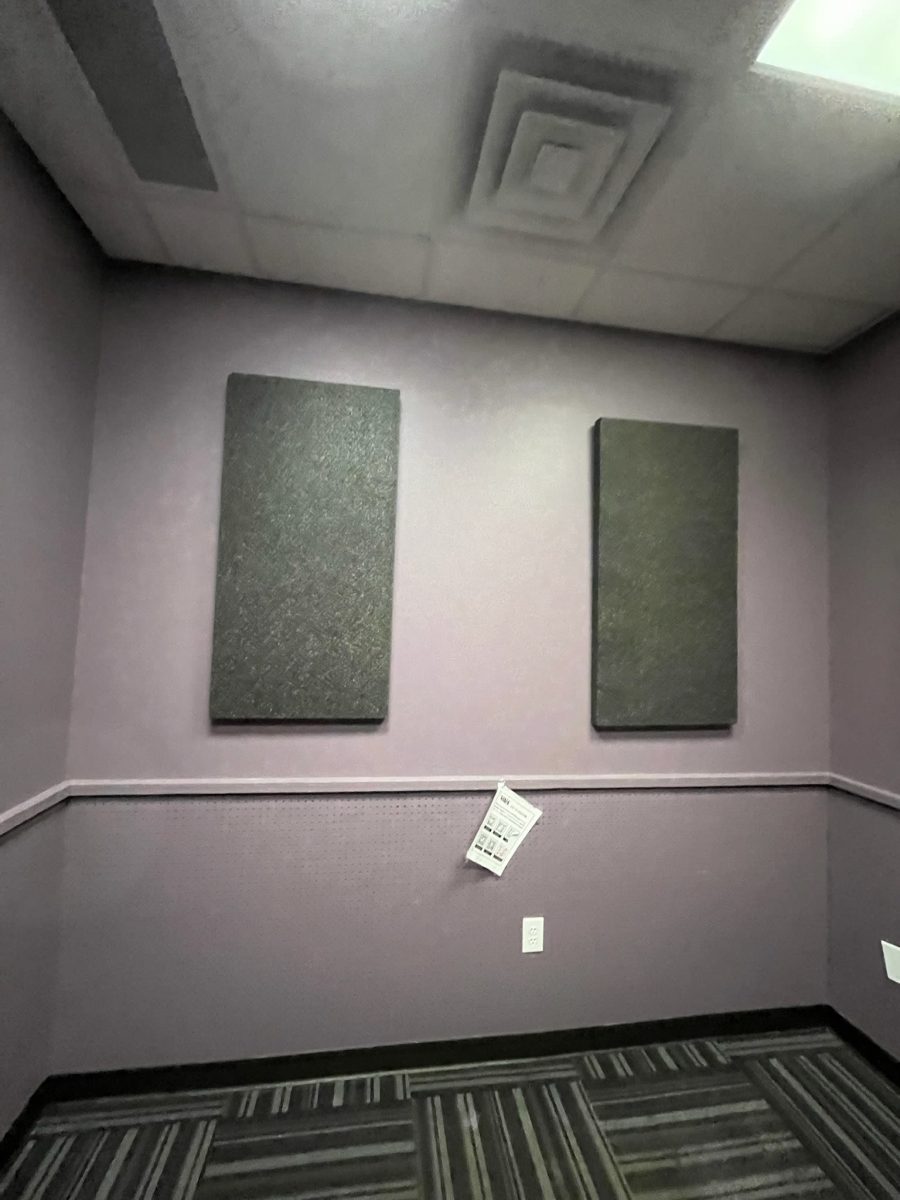 lavendar painted room with sound dampening panels Preview Image 2