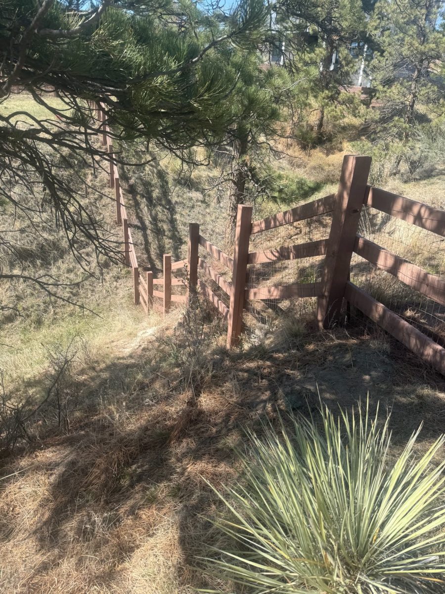 stained split rail fence surrounding CO property Preview Image 5
