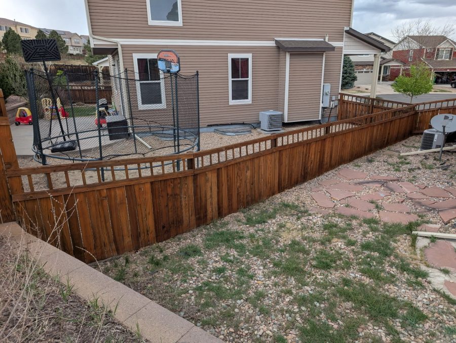 Beautiful Fence Staining Project in CO Springs
