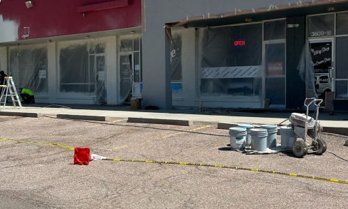 Primer & Paint Application