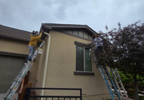 during stucco painting