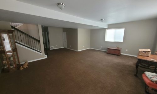 Recreation Room Before