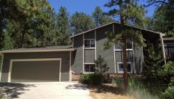 Monument Green White House Painting