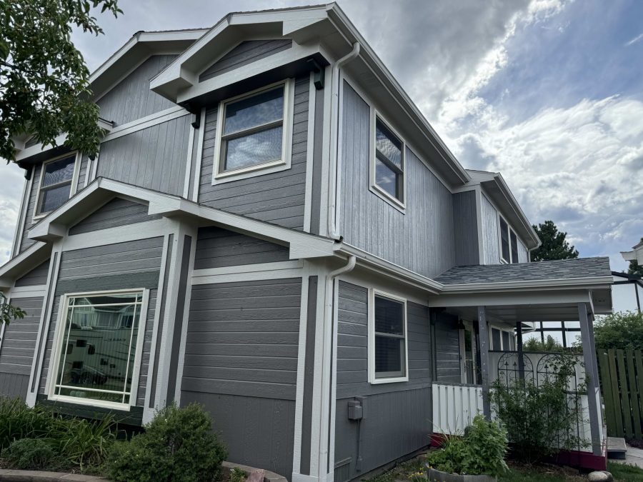 Gray Silver Home Exterior
