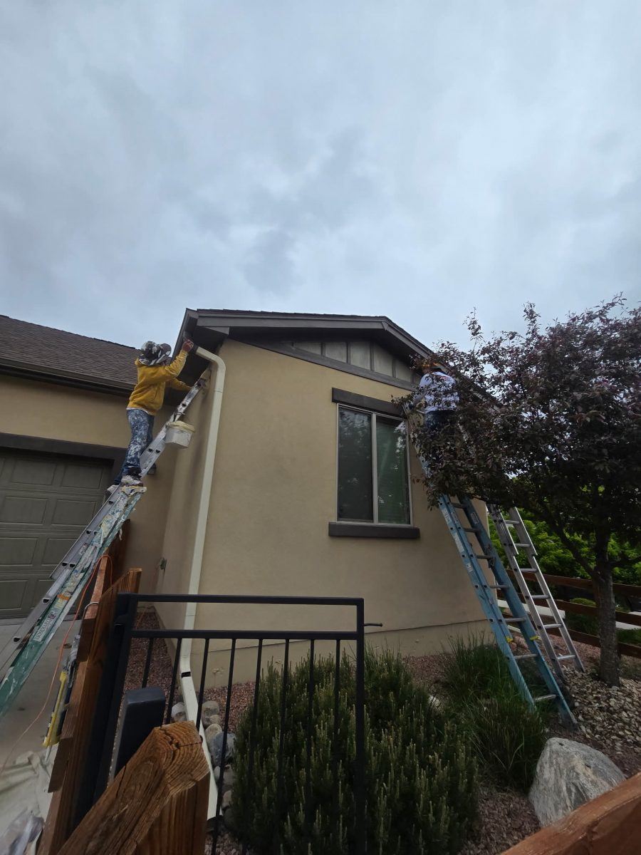 during stucco painting Preview Image 3