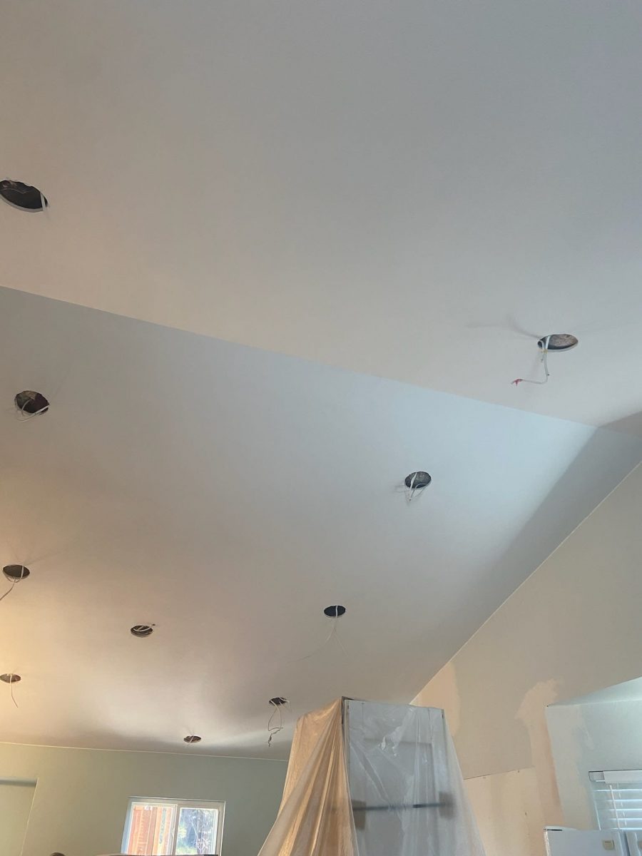 ceiling Preview Image 1