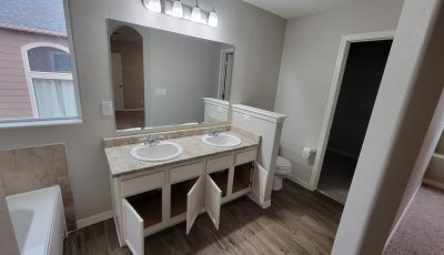 bathroom with double sink vanity