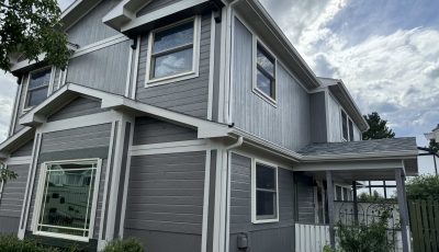 Gray Silver Home Exterior