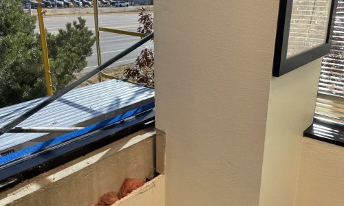 Carpentry & Painting Project