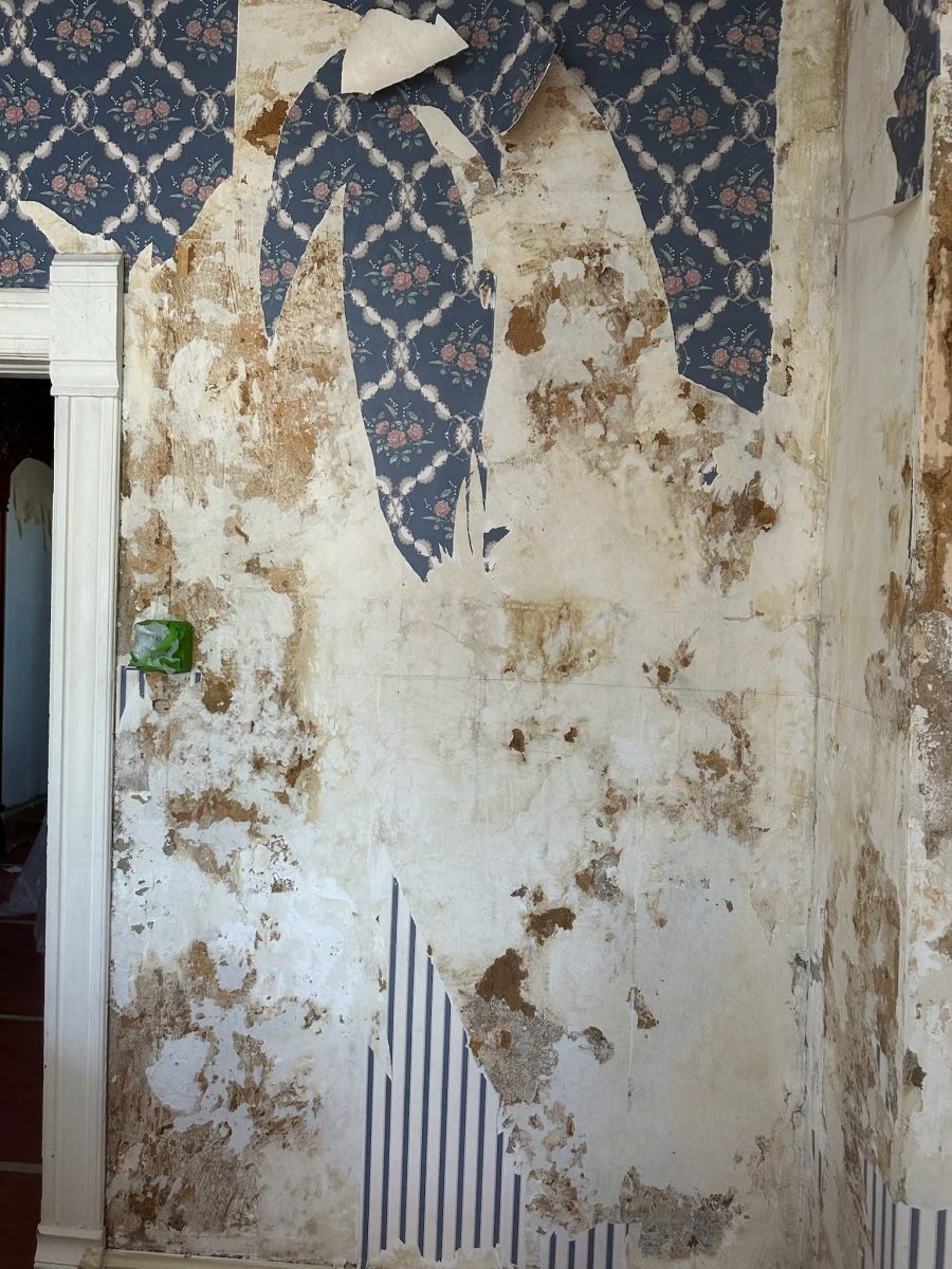 home interior during wallpaper removal Preview Image 7