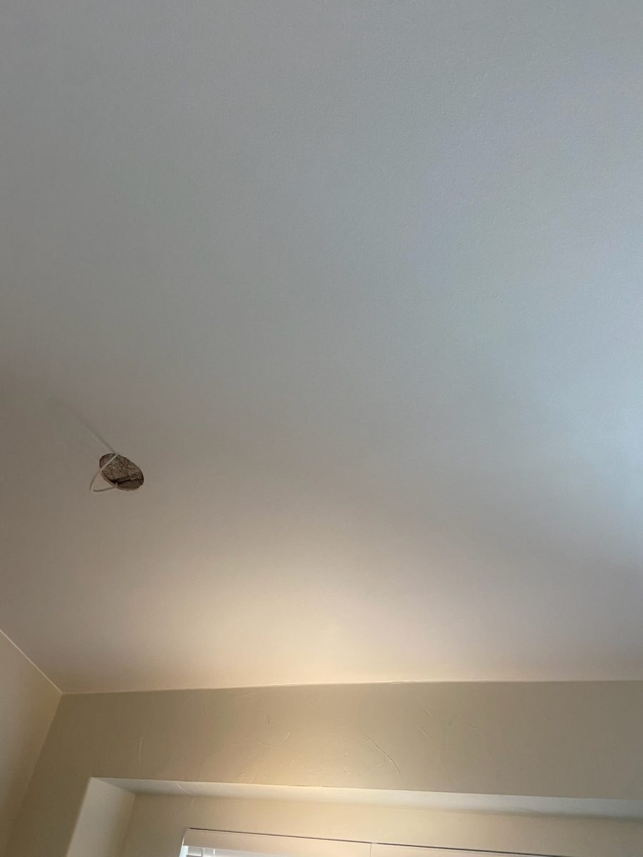 ceiling Preview Image 2