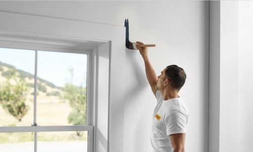 interior painting services