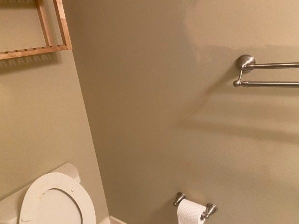 Old Hall Toilet Preview Image 14