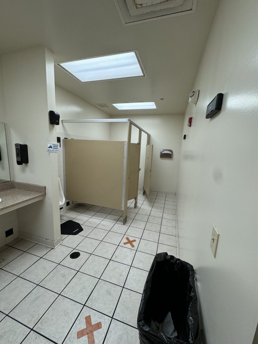 New Bathroom Walls Preview Image 5