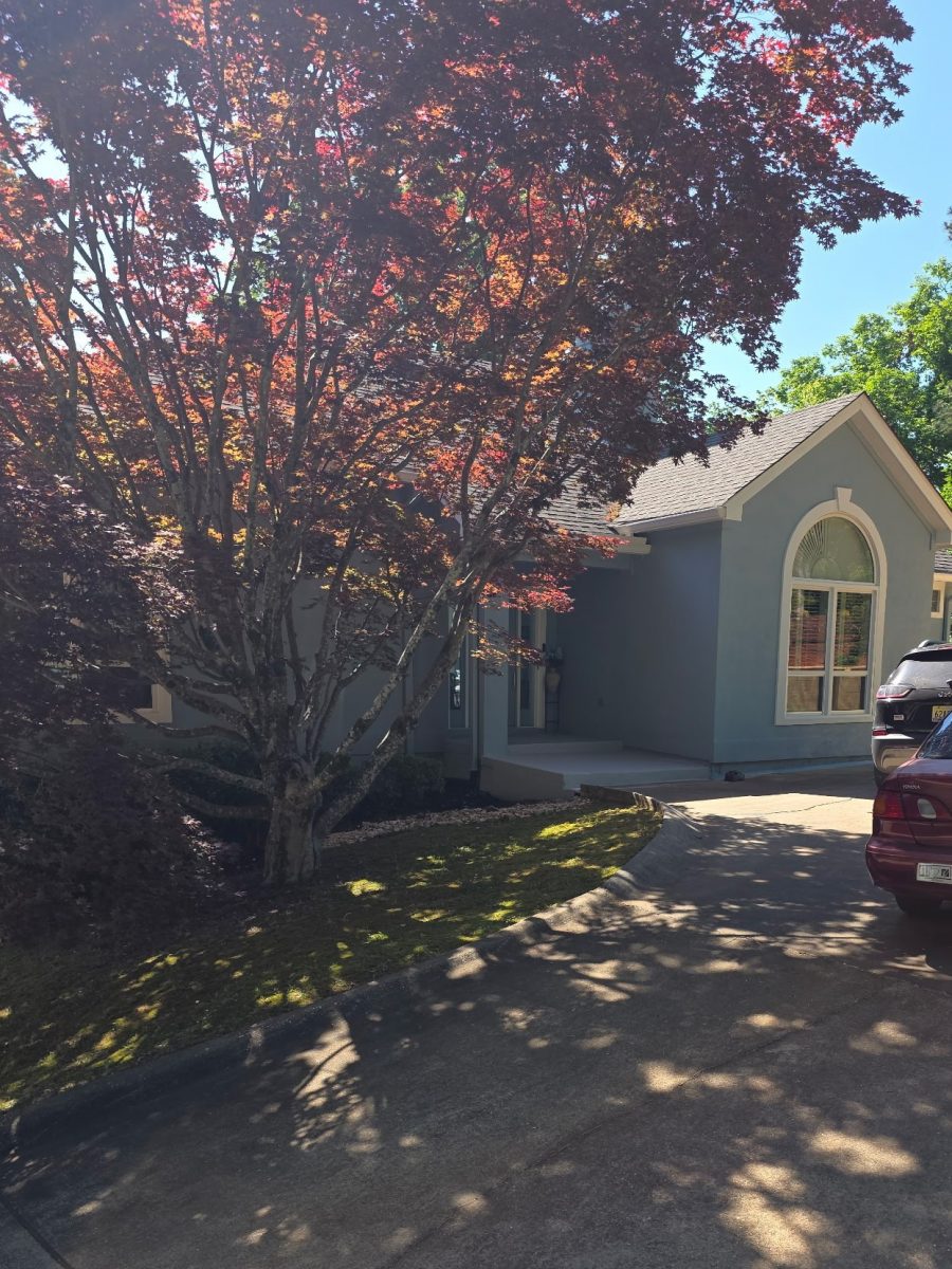 house exterior painted light blue with white window trim Preview Image 2
