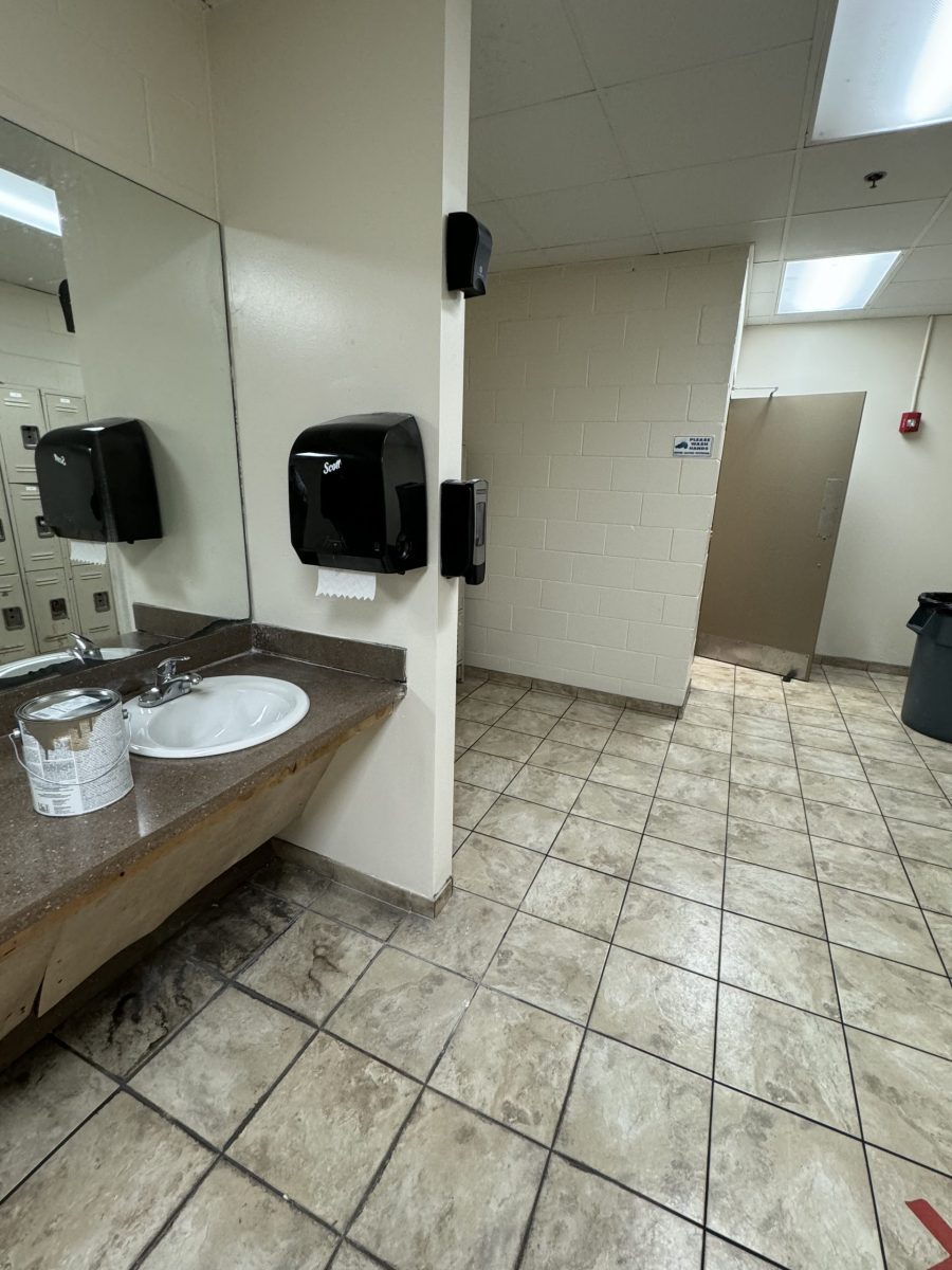 New Repaired Walls & Door Preview Image 4